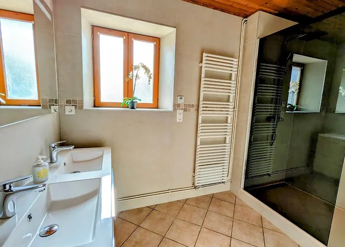 Maison Spacieuse Avec Spa, Ping-pong Et Baby-foot, Ideale Pour Detente En Famille - Fr-1-589-828